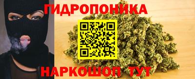 Альфа ПВП Новокубанск