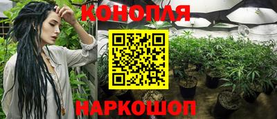 Альфа ПВП Новокубанск