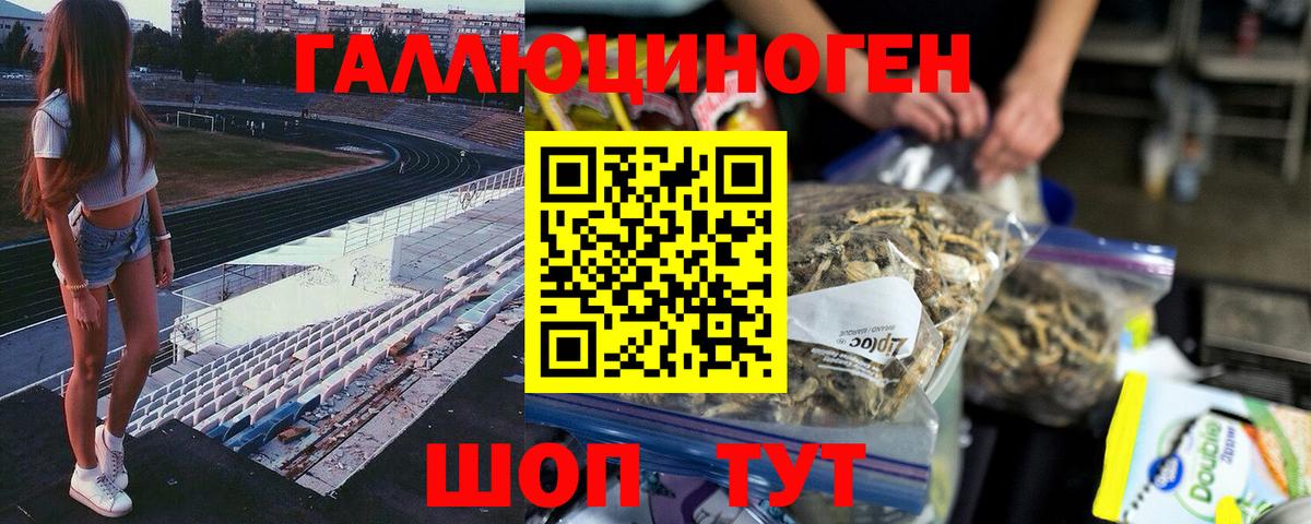 Псилоцибиновые грибы Psilocybine cubensis Ханты-Мансийск