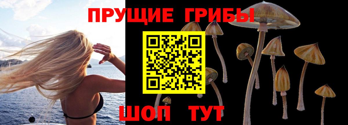 Псилоцибиновые грибы Psilocybine cubensis  Вход с VPN  Ханты-Мансийск 